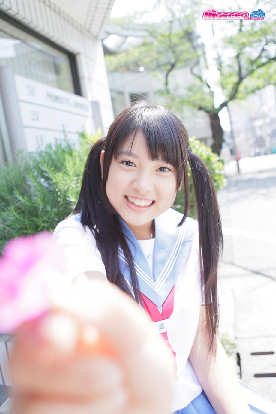 [Image: 3f5d496b2cd12db6055a4.jpg]