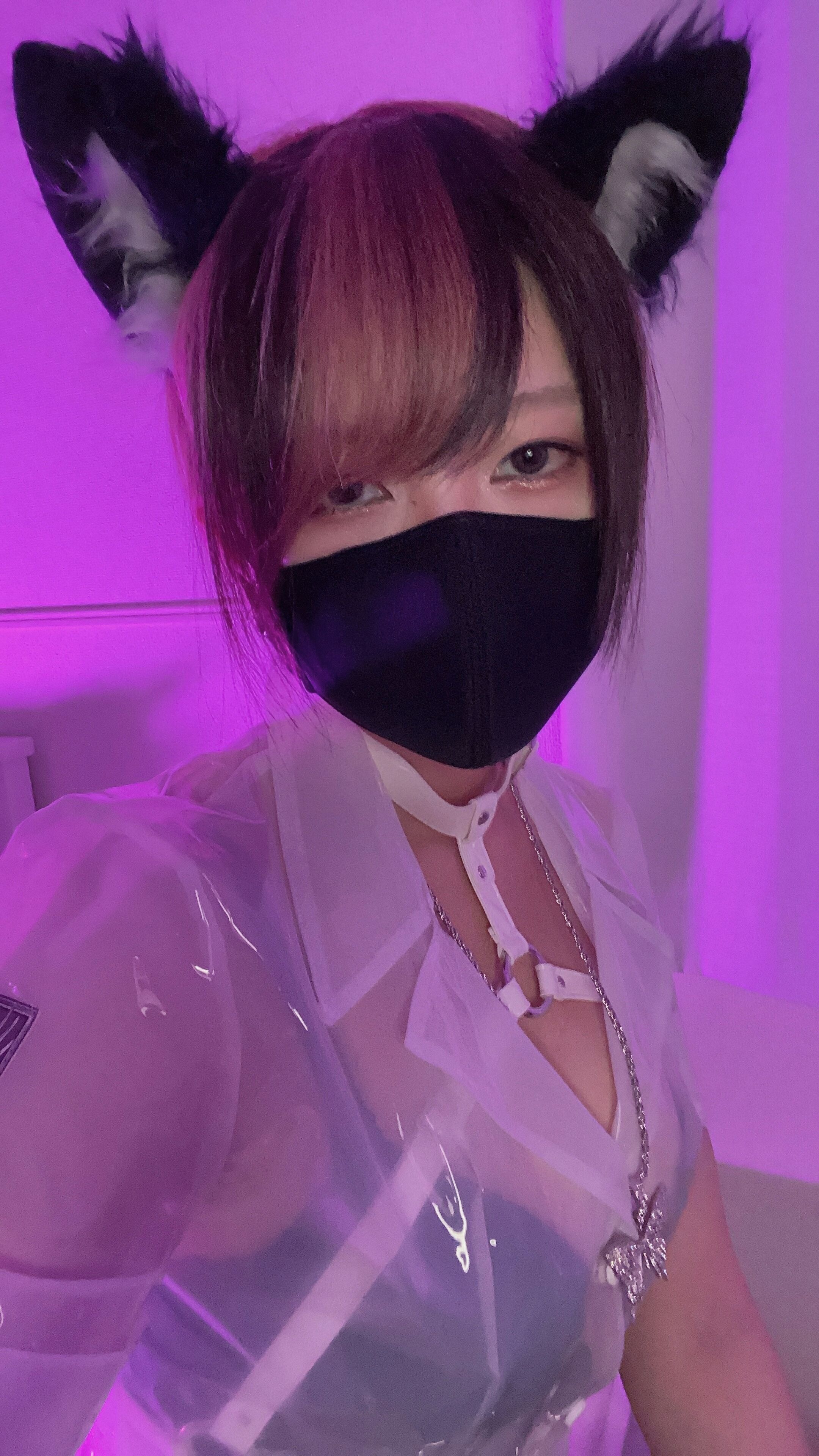 御伽樒 蓝卫衣+猫耳束缚 141