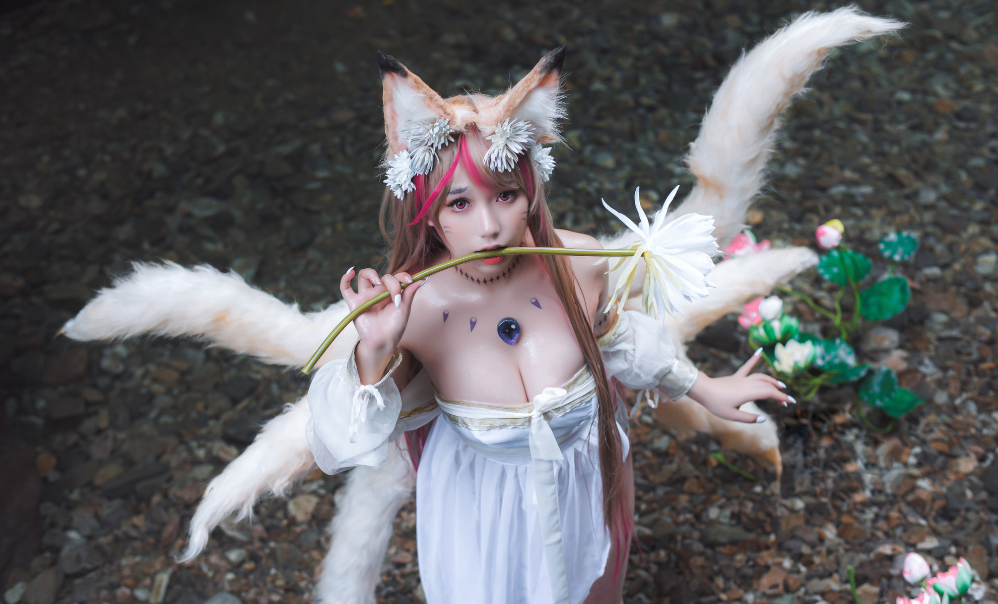 一北亦北 Cosplay 天命之子玉藻前 18