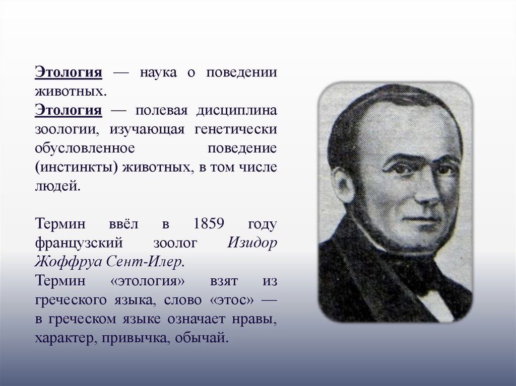 Этология. Этология это наука изучающая. Что изучает этология. Этология это наука биология. О чем наука этология.