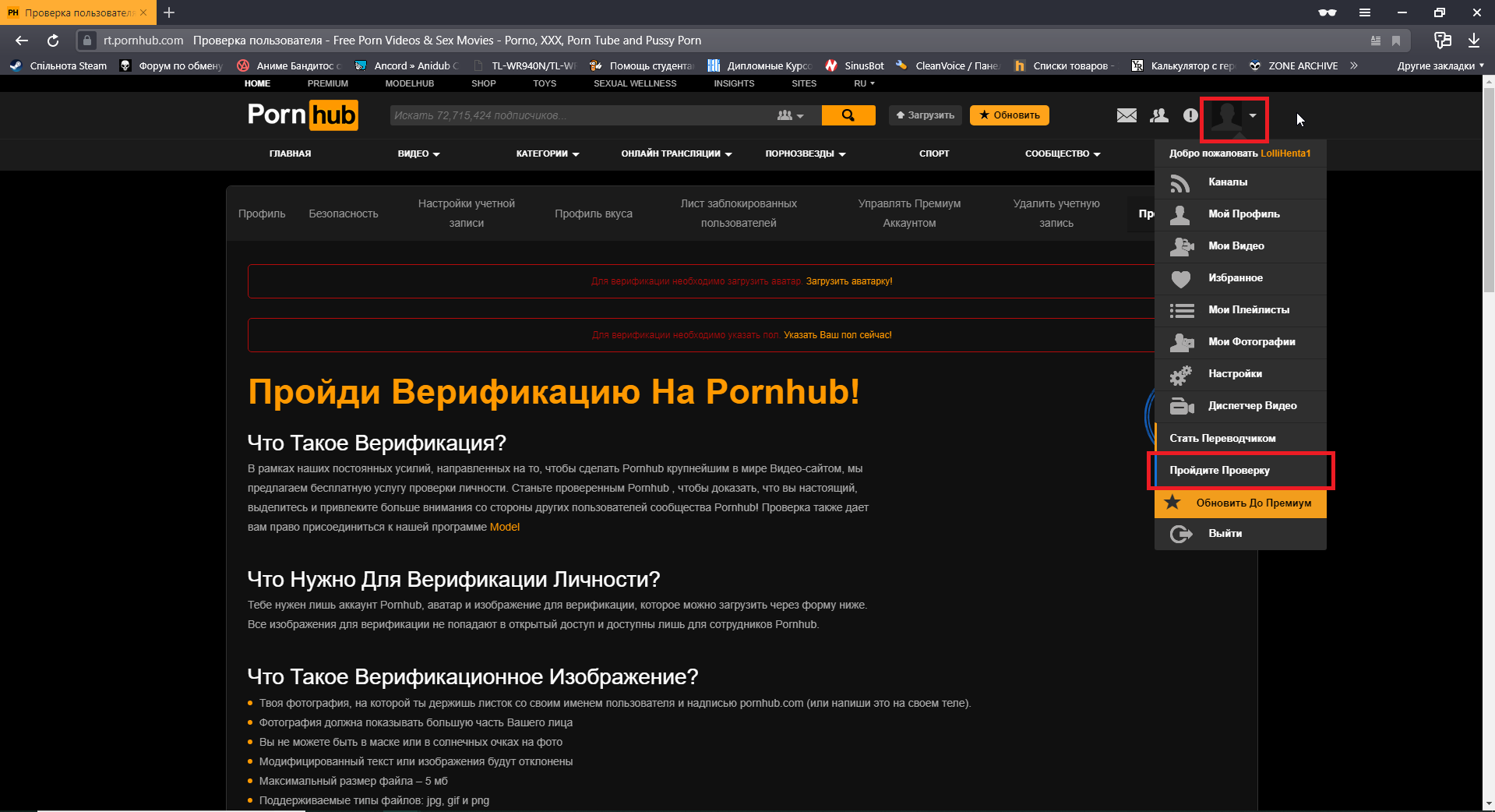 PornHub – Telegraph