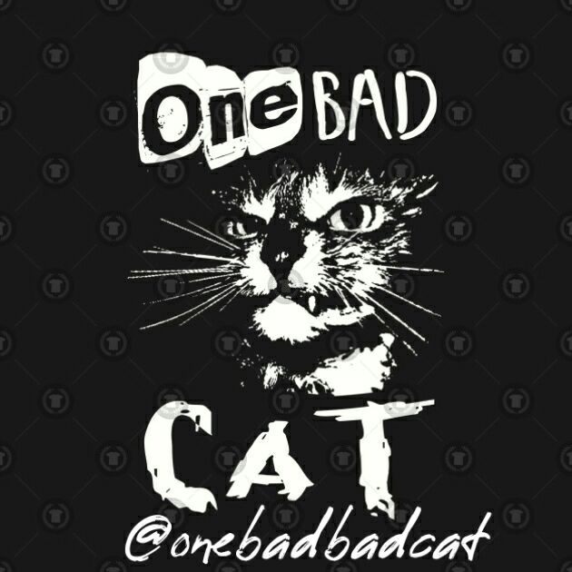 Bad ones перевод