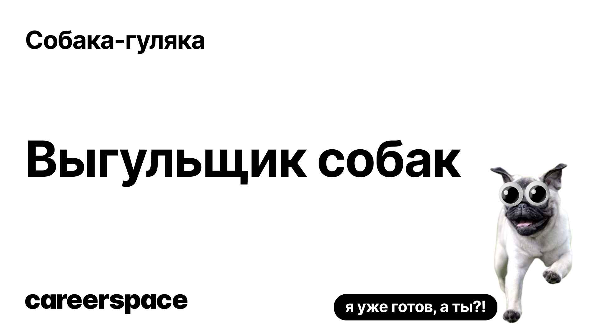 Собака гуляка