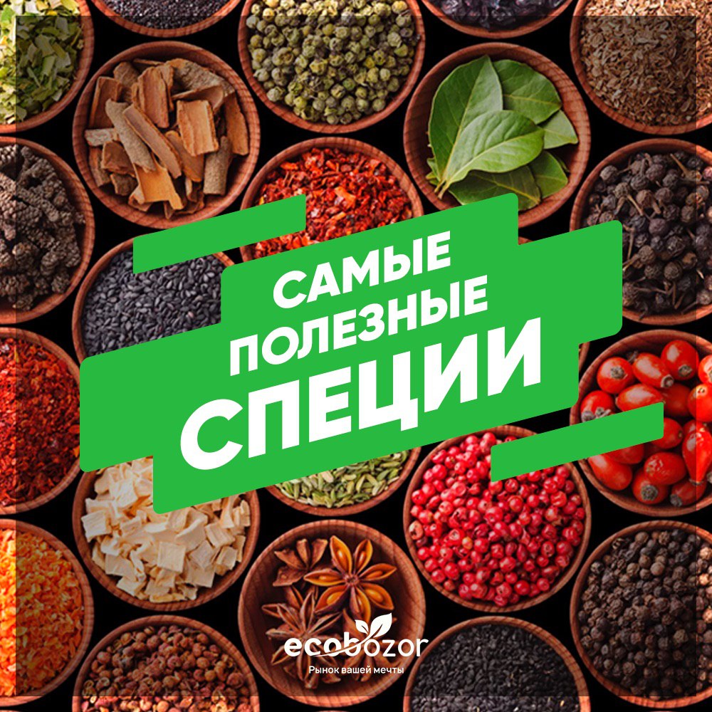 Рынок Ecobozor Chimgan – Telegram