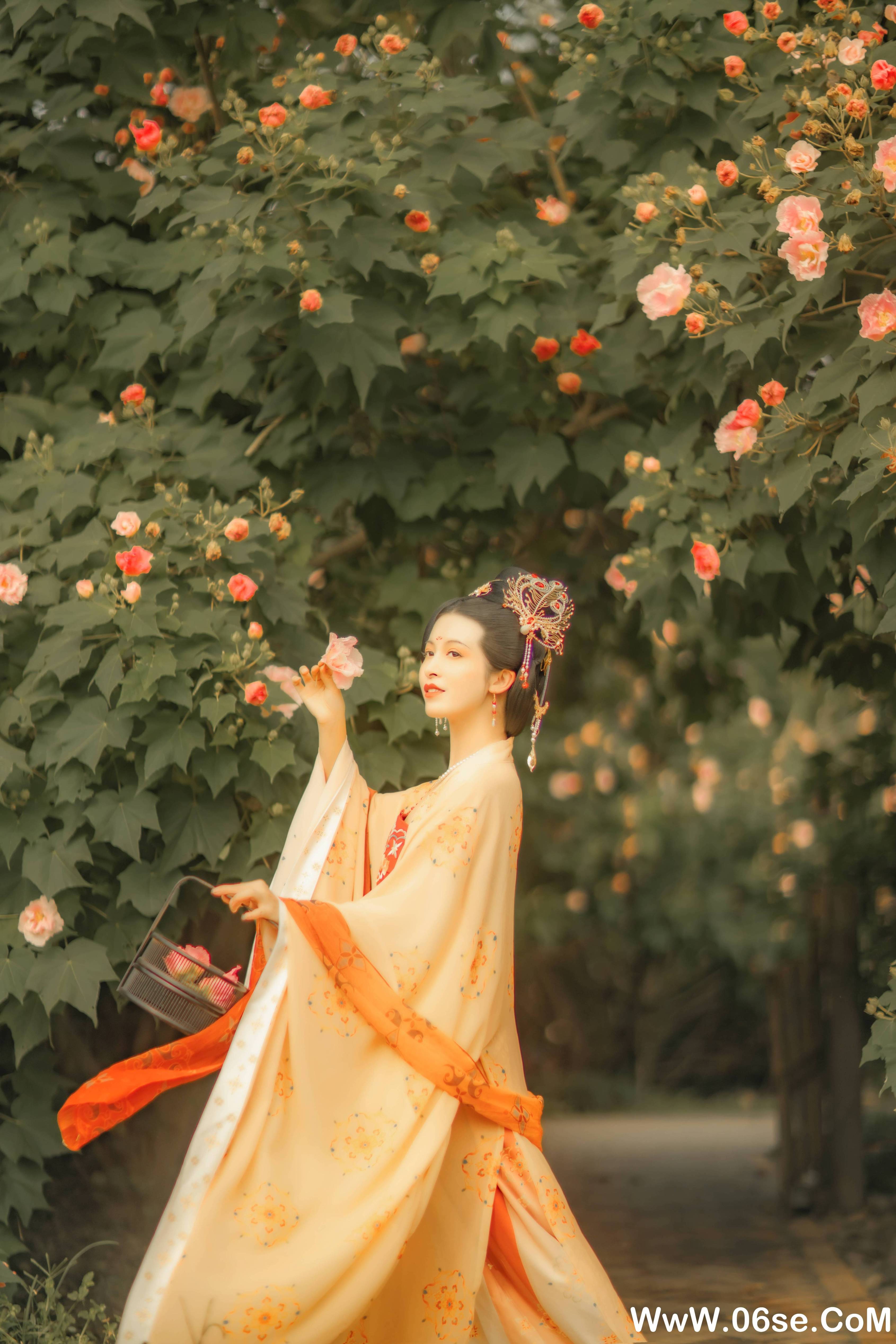 图片[19]-[YITUYU艺图语]2021.11.18 芙蓉词 修水凝花[37+1P／515MB]-六色网