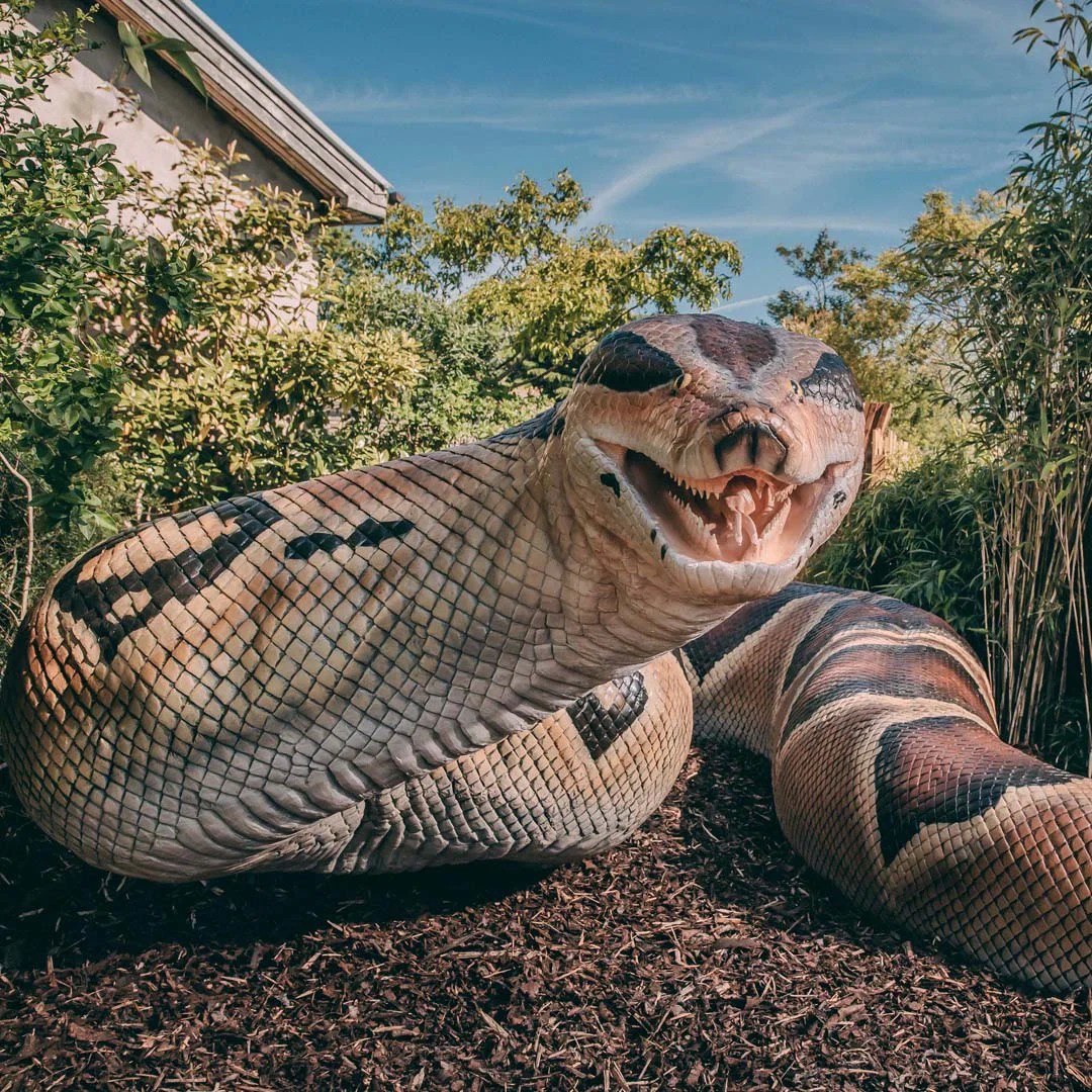 Big snake's. Зоопарк АНИМАТРОНИКОВ.