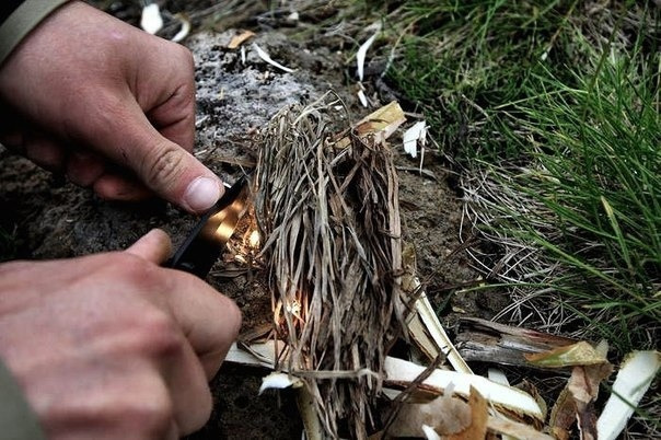 Магниевая стружка – Telegraph