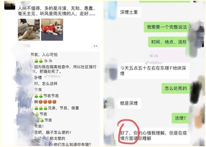 https://telegra.ph/file/430726de798e701c2fef0.png