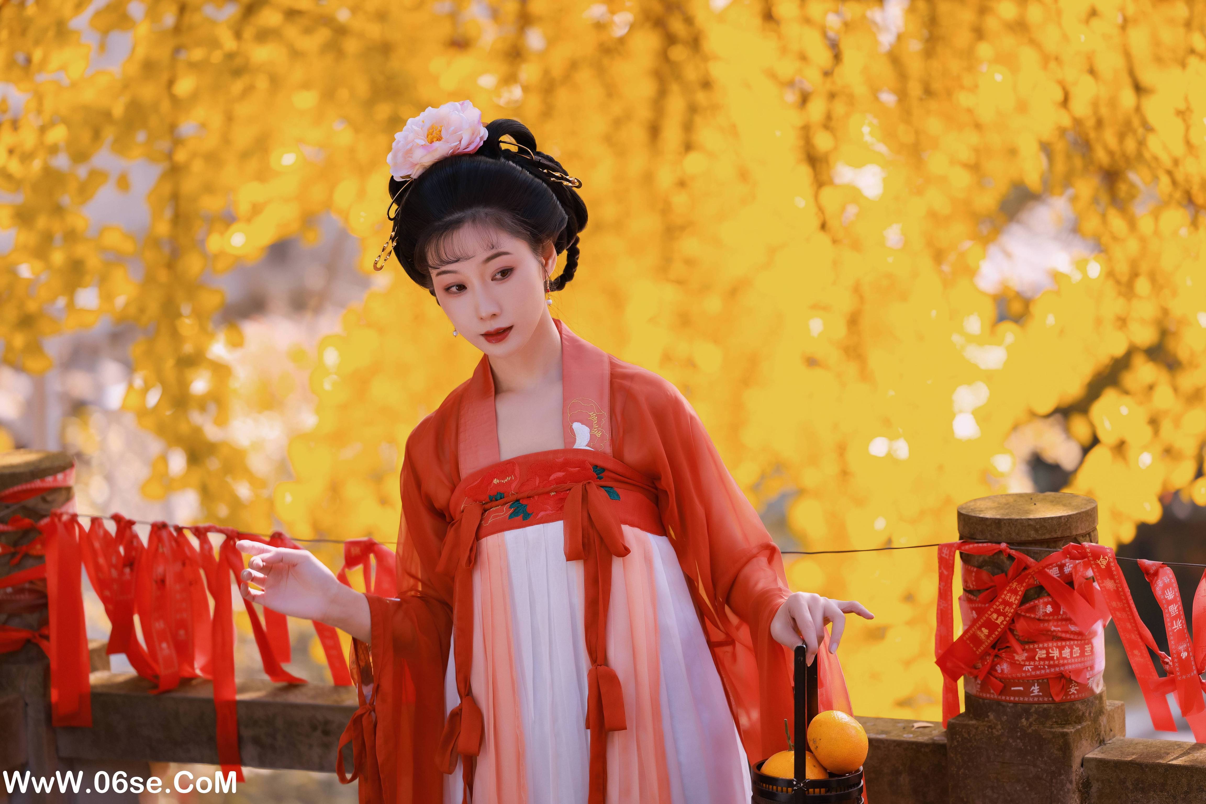 图片[13]-[YITUYU艺图语]2022.11.30 银杏 木景抒[19+1P／463MB]-六色网