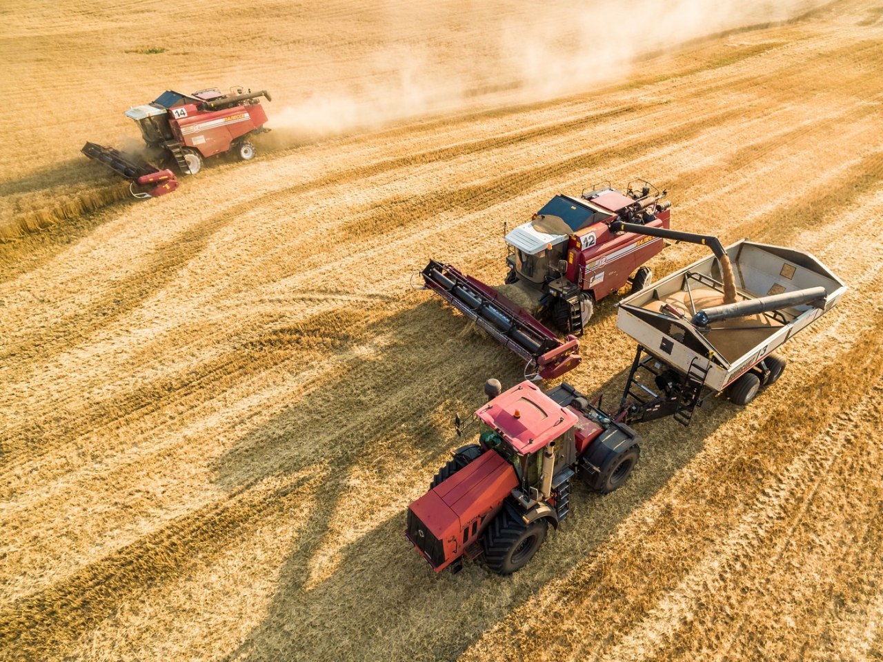 Сбор зерна в РФ в 2019 году составил 121,2 млн тонн