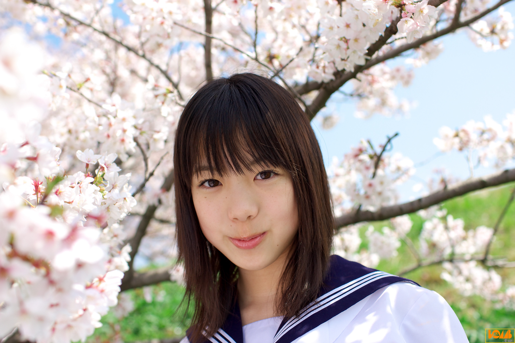 [Image: 43ac0cb437cb4ead4688c.jpg]