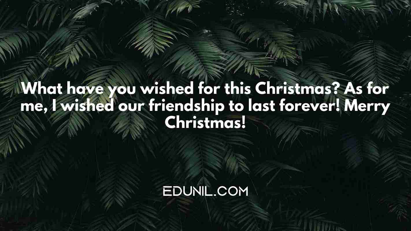 What have you wished for this Christmas? As for me, I wished our friendship to last forever! Merry Christmas! - 
