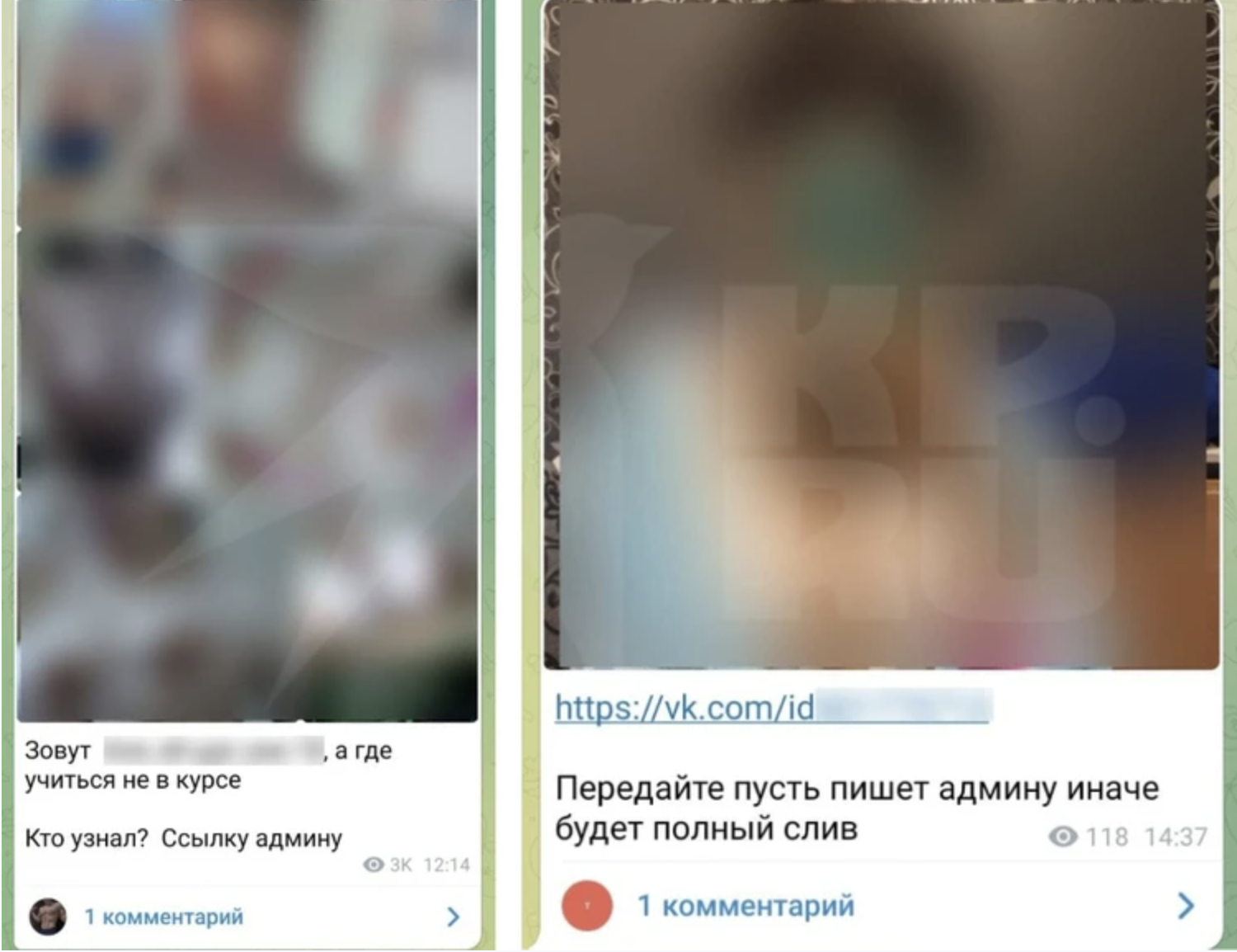 Сливы в телеграмме российских знаменитостей фото 53