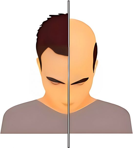 445e91c7ef29d5dd2b88c.png