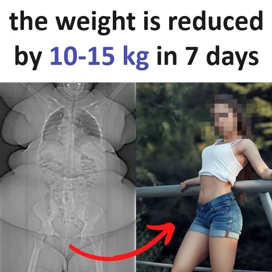 4463f24ca88c54da9e4d6.jpg