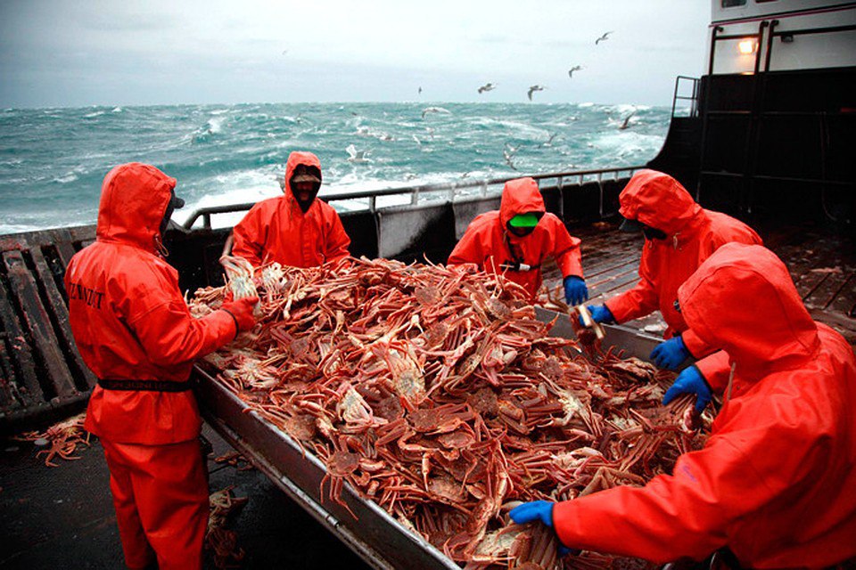 Приморские рыбаки отказались от квот на вылов глубоководных крабов