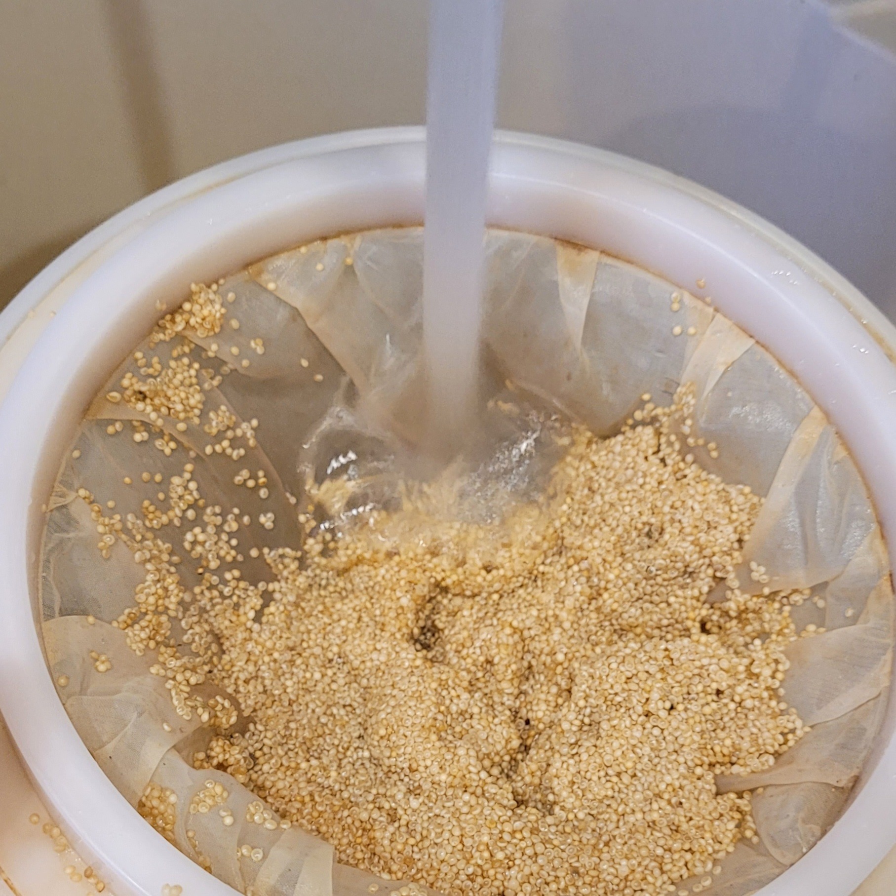 Кремовая амарантовая каша – Telegraph