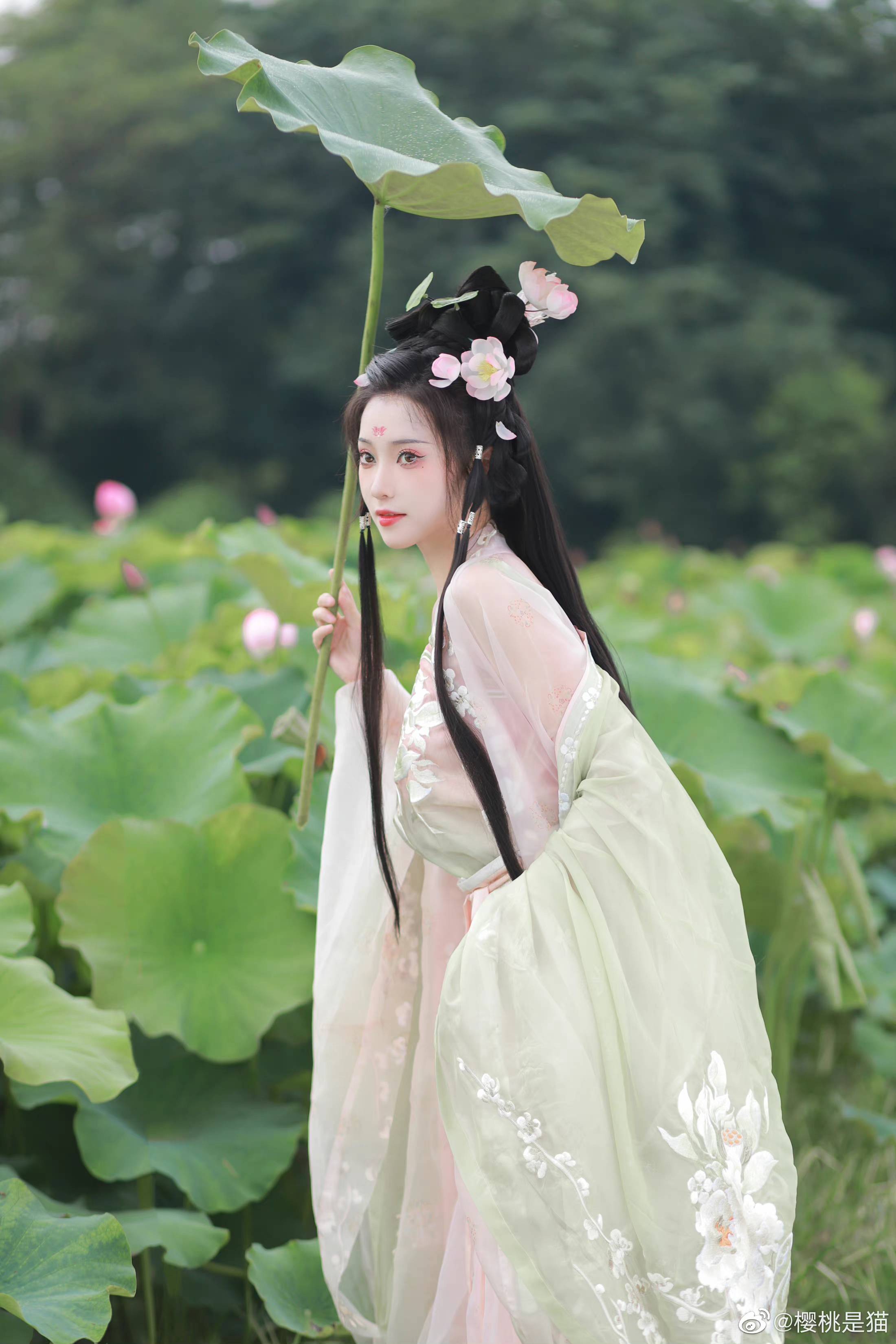 图片[15]-086 迷失幻境系列 – 第086期（国风） [94P-244.46 MB]-六色网
