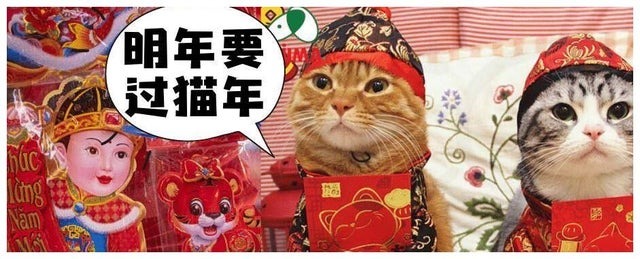 https://telegra.ph/file/45224b08664237a2af3bb.jpg