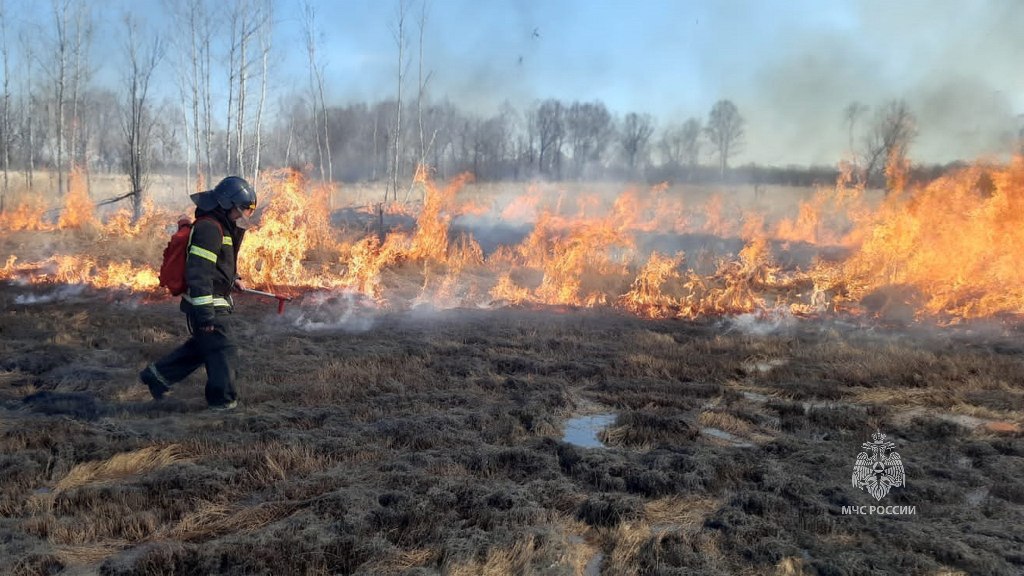 Особый противопожарный режим введён на территории Хабаровска