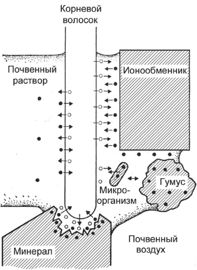45d7f609425c9290c66da.png