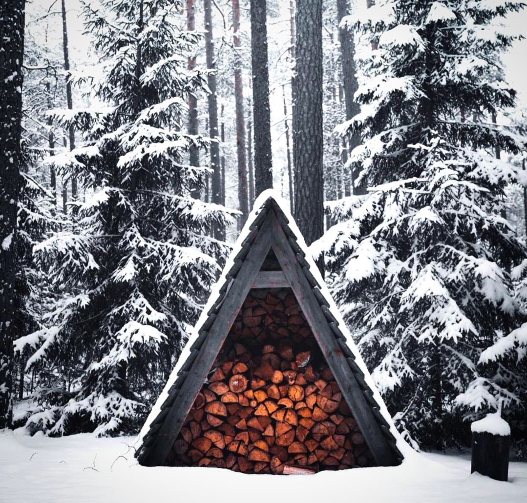 A-frame в лесу icon