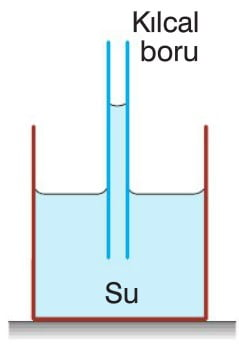 Kılcal Hareket: Sıvı ve çevresindeki katı yüzeyler arasındaki moleküller arası kuvvetler nedeniyle oluşur. Borunun çapı yeterince küçükse, yüzey gerilimi (sıvı içindeki kohezyonun neden olduğu) ve sıvı ile kap duvarı arasındaki yapışma kuvvetlerinin birleşimi, sıvıyı itecek şekilde etki eder.