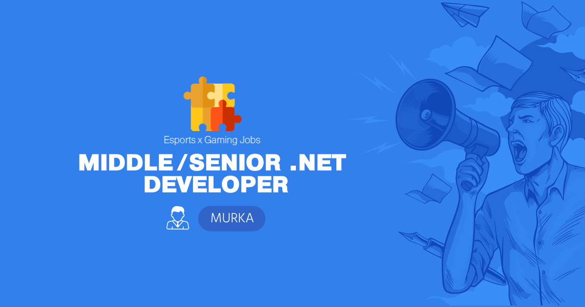 Senior net developer