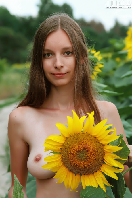 [Image: 4664d69c15df69d8217e5.jpg]