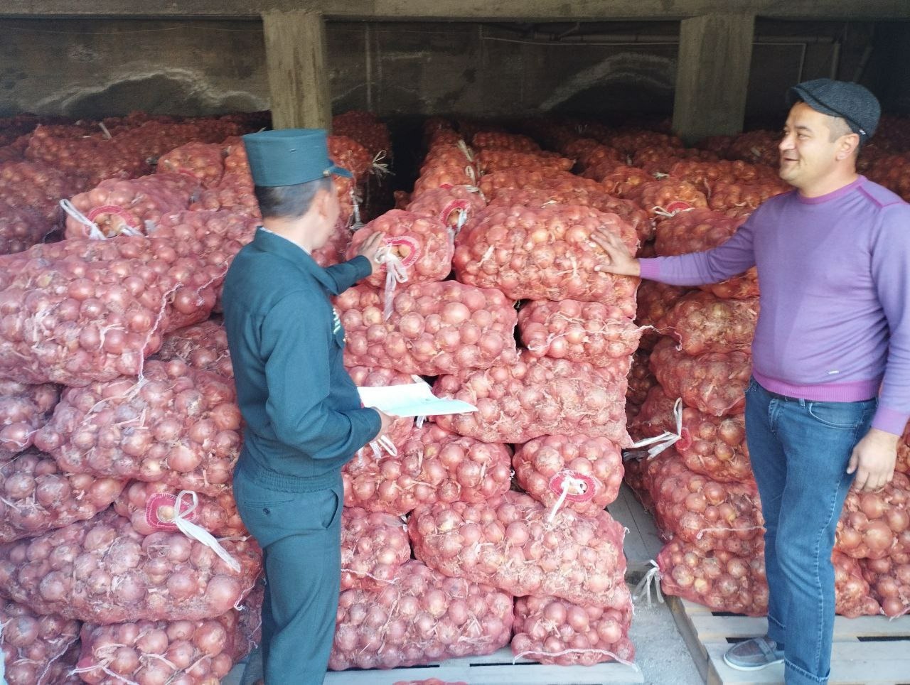 ООО Mamat Agro meva сливы Самарканд теплицы.