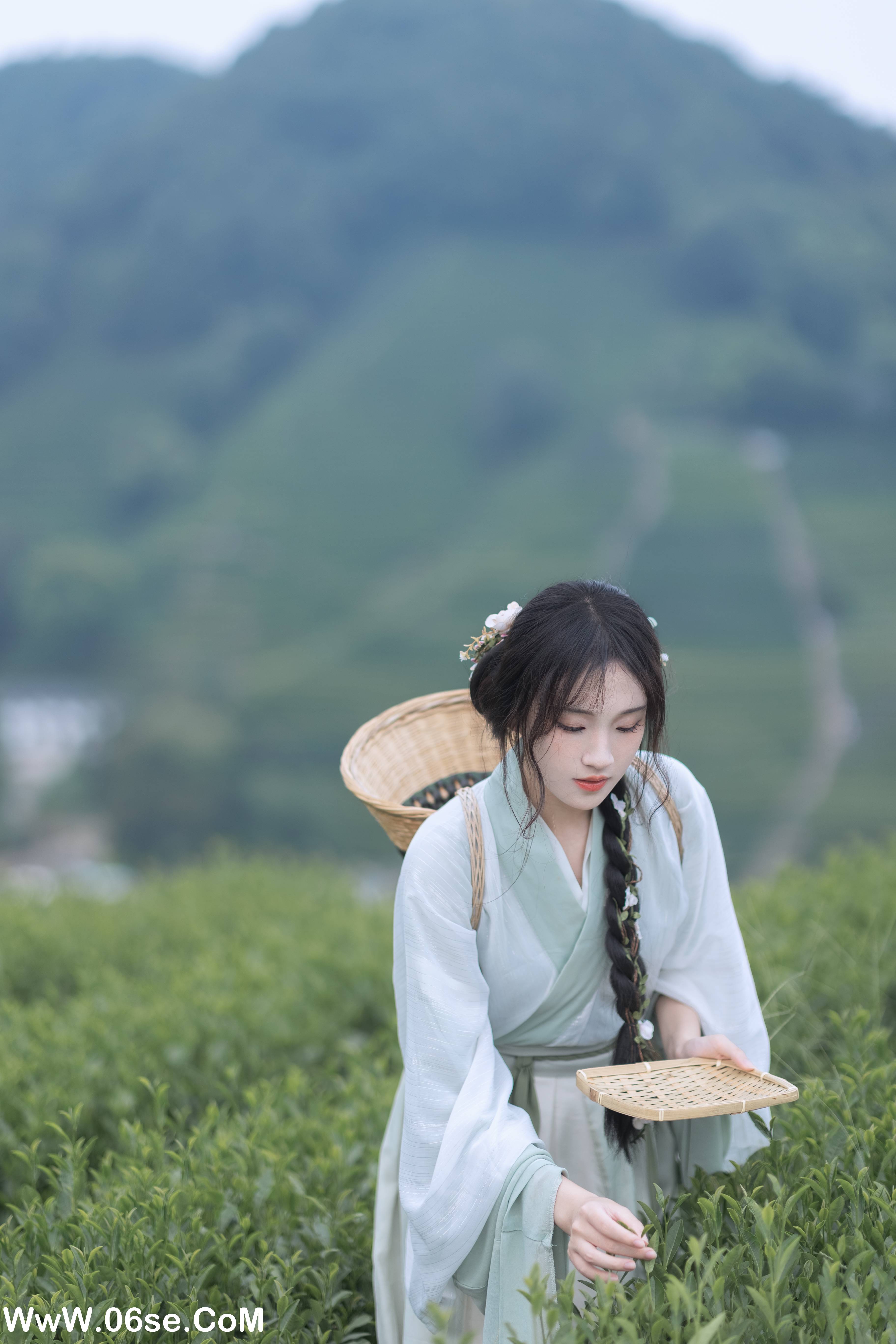 图片[52]-[YITUYU艺图语]2022.11.10 采茶纪 方莛玉[53+1P／473MB]-六色网