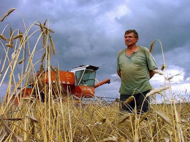 Агрохолдинги останутся без субсидий: саратовский минсельхоз выделит поддержку только малому бизнесу