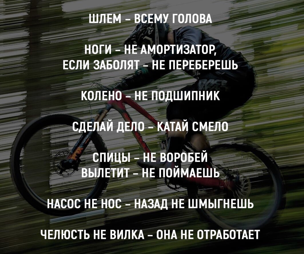 Pro-Bike.ru – Telegram