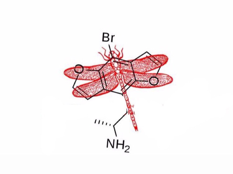 Bromo dragonfly что это. Драгонфлай наркота. Стрекоза наркотик. Бром Стрекоза. Бромо Драгонфлай.