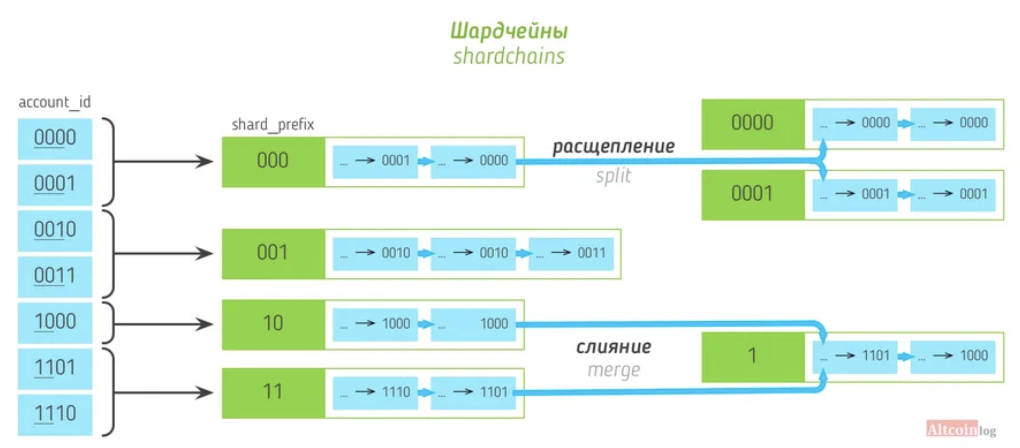 Ton блокчейн. Шардирование микросервисов. Блокчейн скрипт. Шардинг криптовалюты. Ton Blockchain.