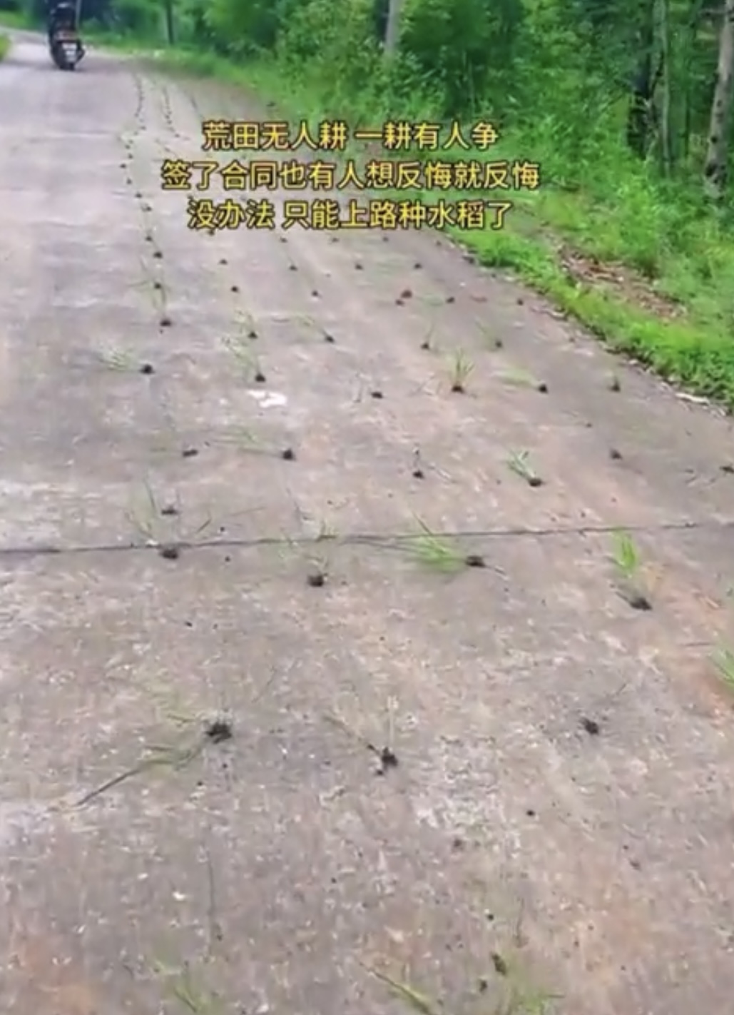 https://telegra.ph/file/486d41007674dcddf87f3.jpg