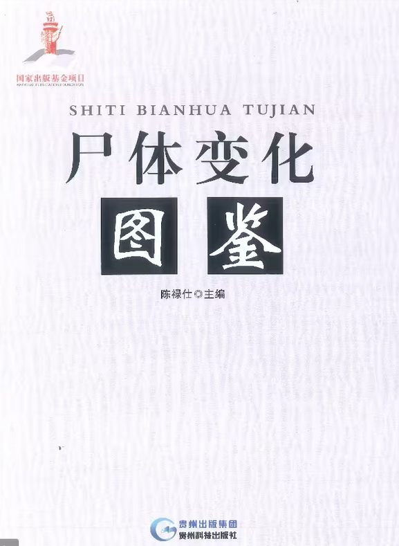 https://telegra.ph/file/48e1fc4fbb8ffa825a712.png