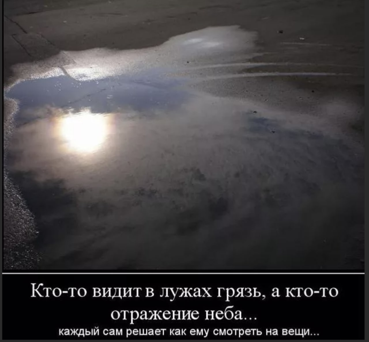 Увидеть видим. Кто-то видит в лужах грязь. Кто-то видит в лужах грязь а кто-то отражение неба. Каждый видит что хочет видеть. Отражение в воде высказывания.