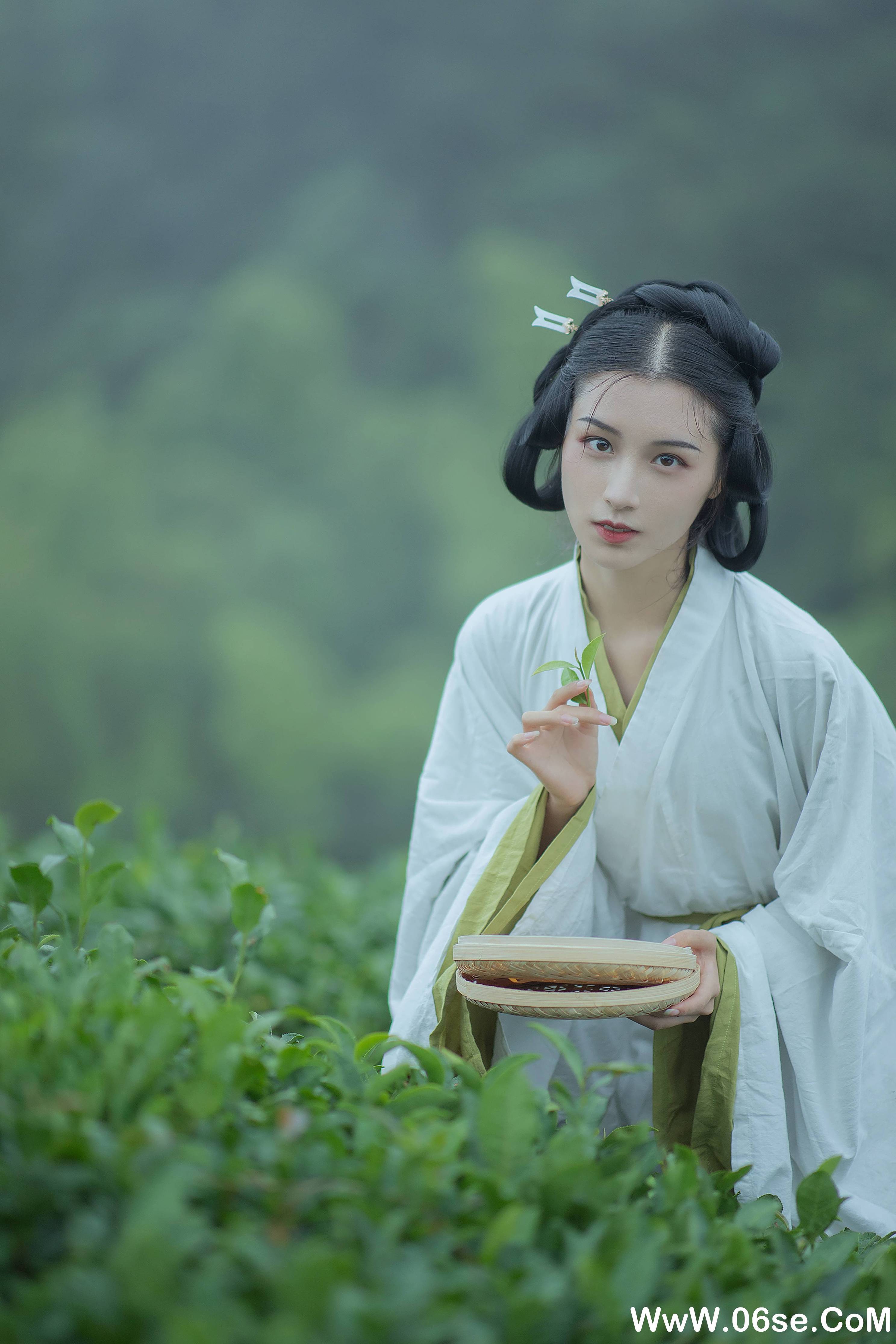 图片[13]-[YITUYU艺图语]2021.12.02 采茶女 十八重川[19+1P／151MB]-六色网