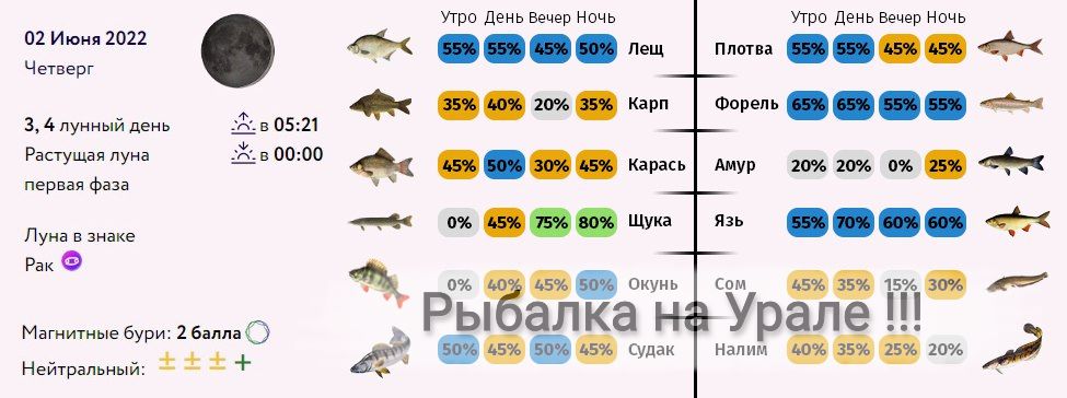 Календарь рыбака 2024 г. Рыболовный календарь Калач на Дону.