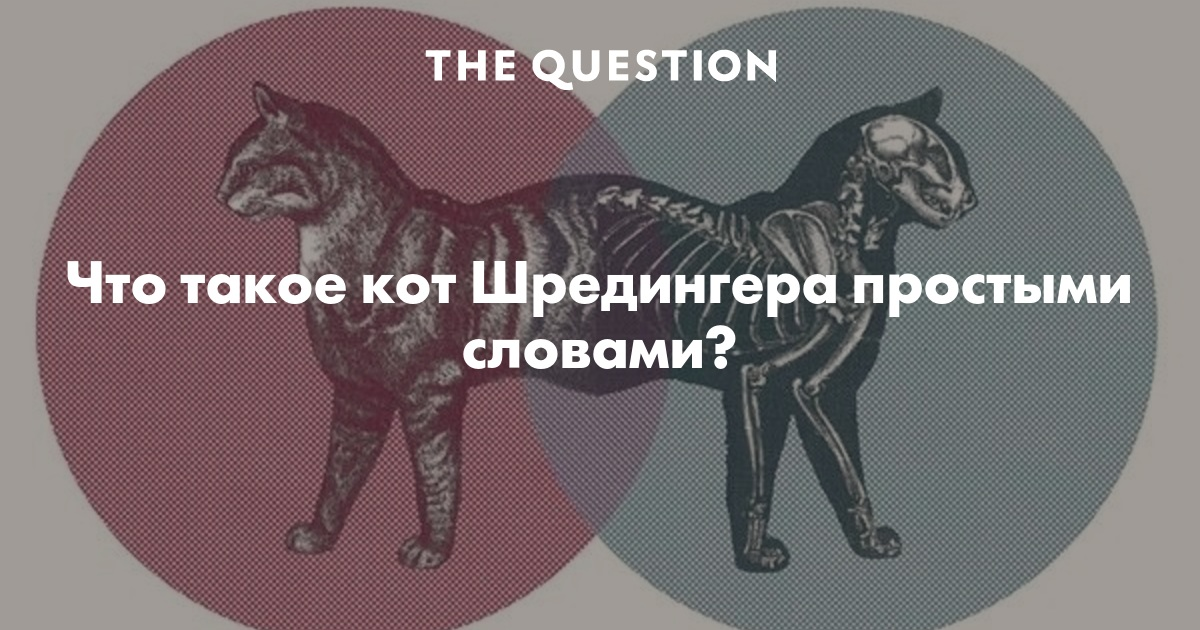 Кот шредингера что это простыми словами. Кот Шрёдингера простыми словами. Кот Шредингера цитаты. Кот Шрёдингера суть. Кот Шрёдингера простыми словами простыми словами.