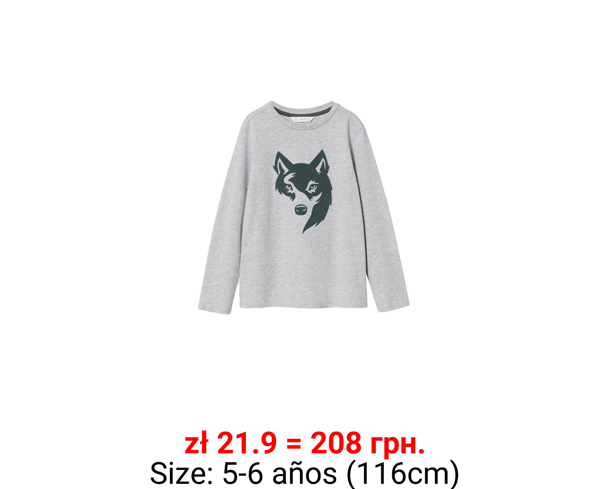 Camiseta algodón estampado