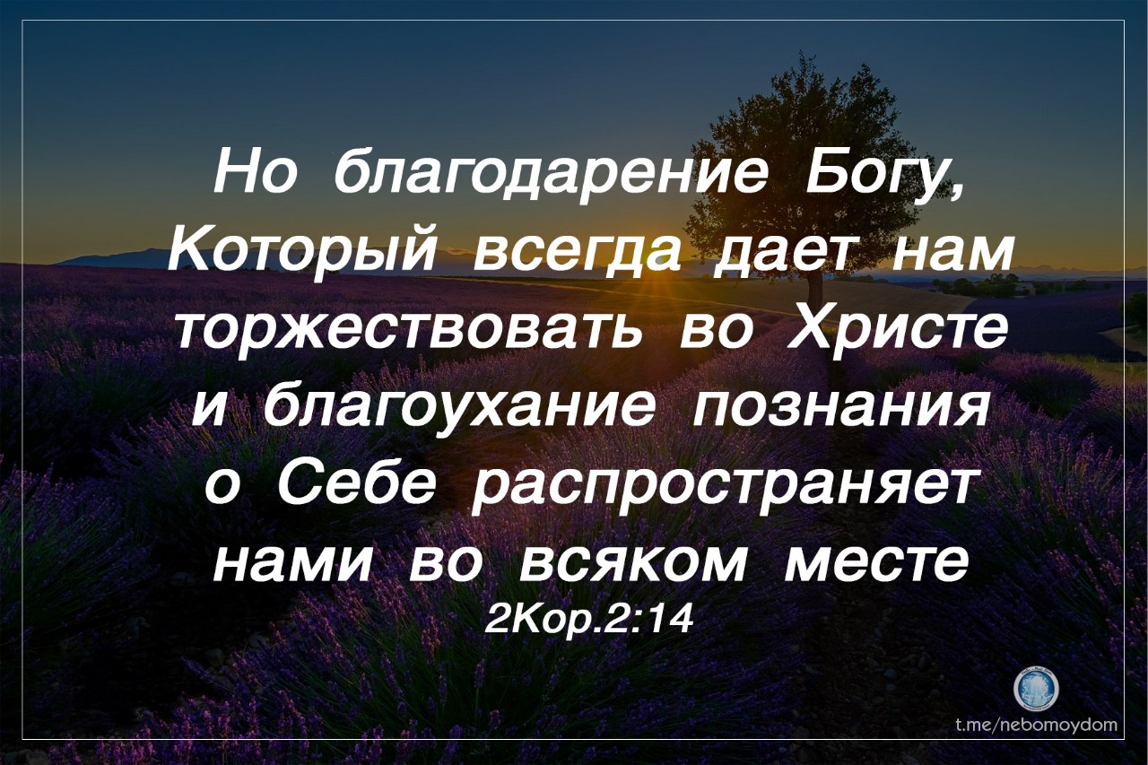 Смело сказано. И по молитве их поколебалось место где они были собраны. Поколебалась земля по молитве их. Дай рабам твоим со всею смелостью говорить слово твое. Твое слово со всей смелостью (Деян. 4:29)..