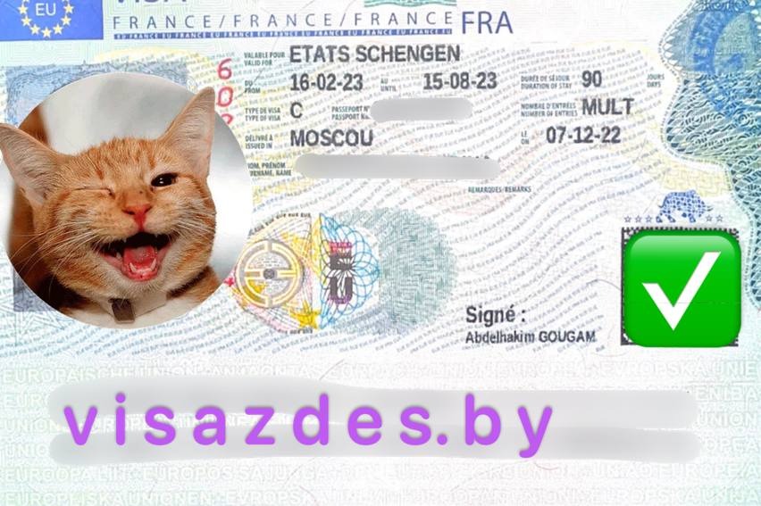 Французская виза – Telegraph