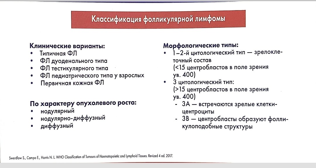Фолликулярная лимфома. – Telegraph