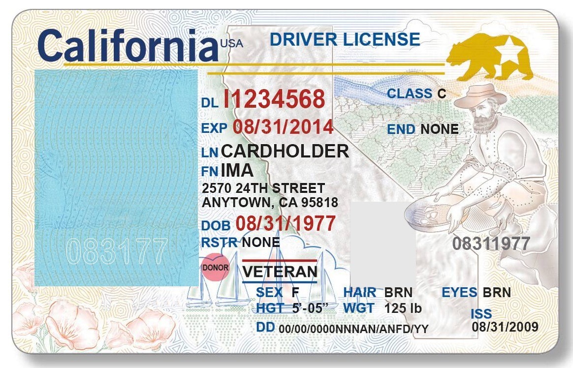 Daddy зеркало на сегодняшний день license casinos. California Driver License.