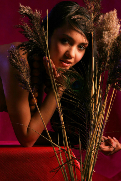 [Image: 4c3873bae830044f29b94.jpg]