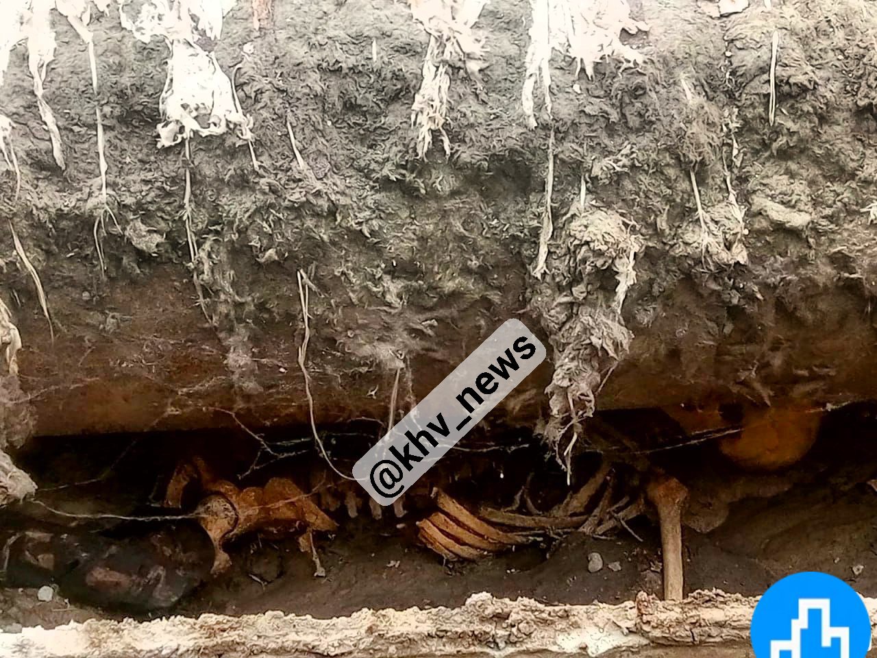 Человеческие останки найдены при ремонте теплотрассы в Хабаровске
