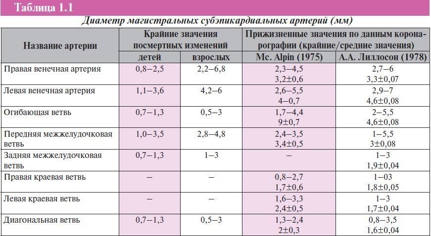 Диаметр сосудов. Диаметр коронарных артерий норма в мм. Диаметр левой коронарной артерии в норме. Диаметр основной артерии. Диаметр артерии мм.