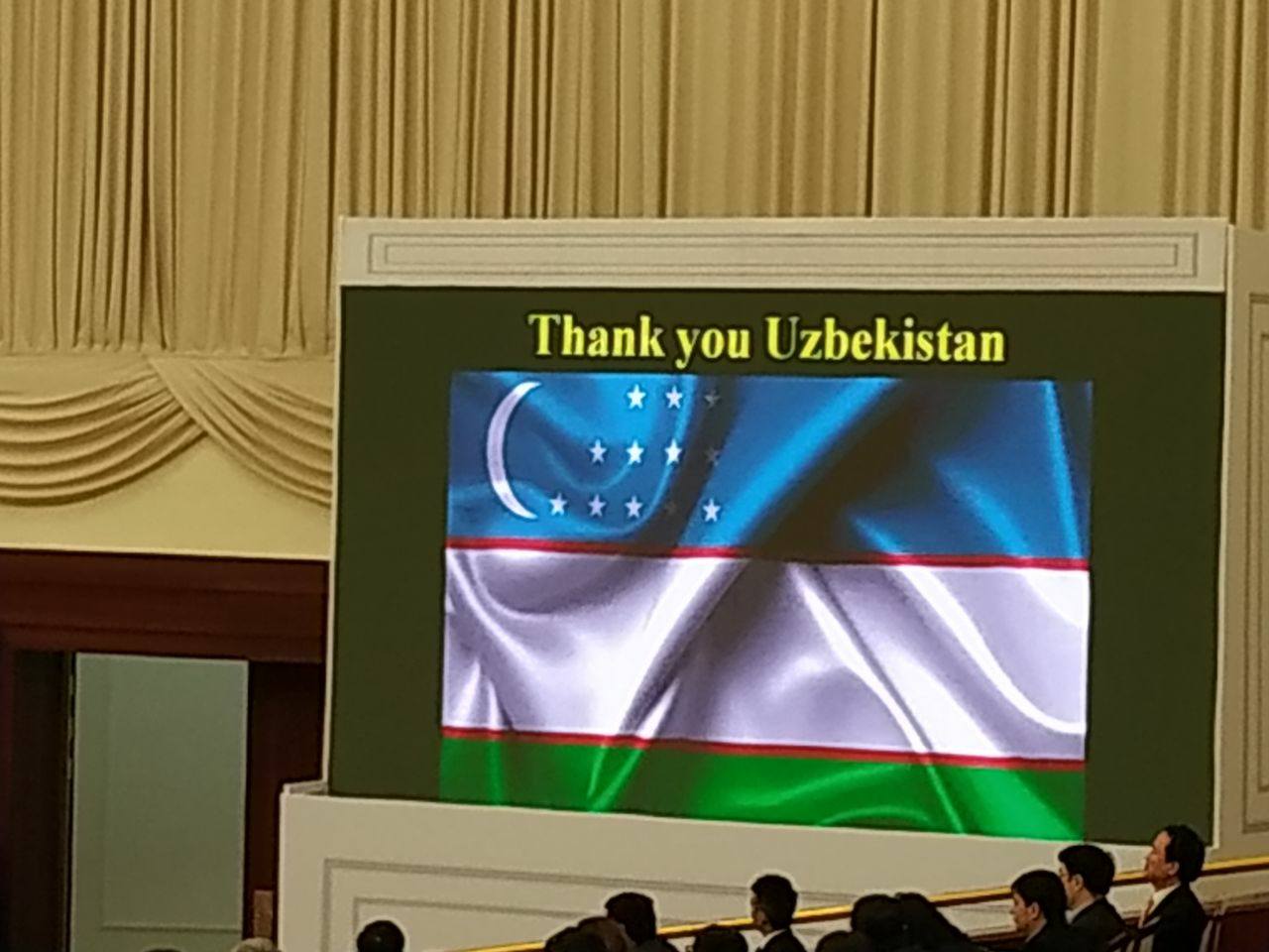 Qora tanli odam mushukni yalab oldi